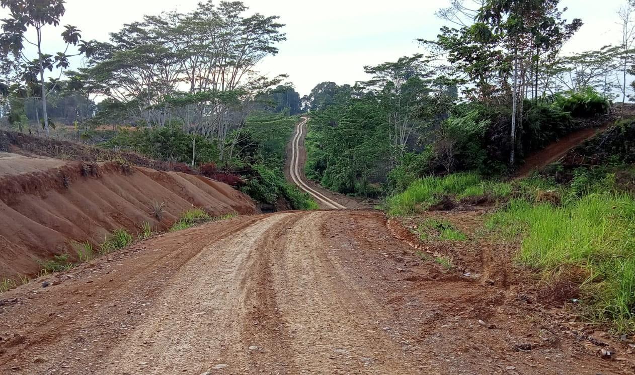 Desak Tingkatkan Jalan Darat Lebong Tandai