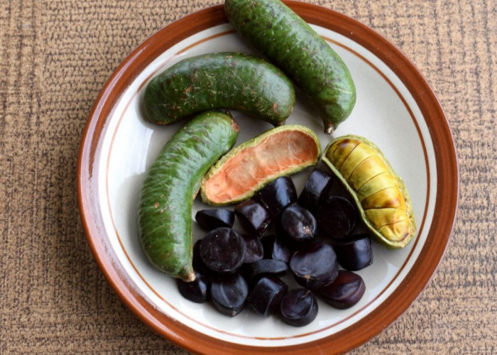 Memiliki Aroma yang Hampir Sama dengan Jengkol, Ternyata Ini Manfaat Konsumsi Kabau