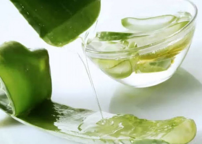 Kadung Diserang Wasir, Resep Simpel dari dr Zaidul Akbar Ini Ampuh Buat Kamu Sembuh