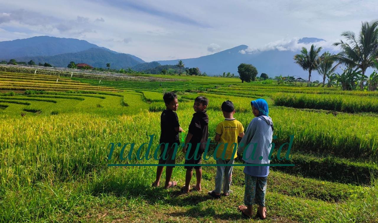 Pastikan Debit Air Masih Aman, Petani Diminta Tak Panik dengan Isu Badai El Nino di Agustus Mendatang