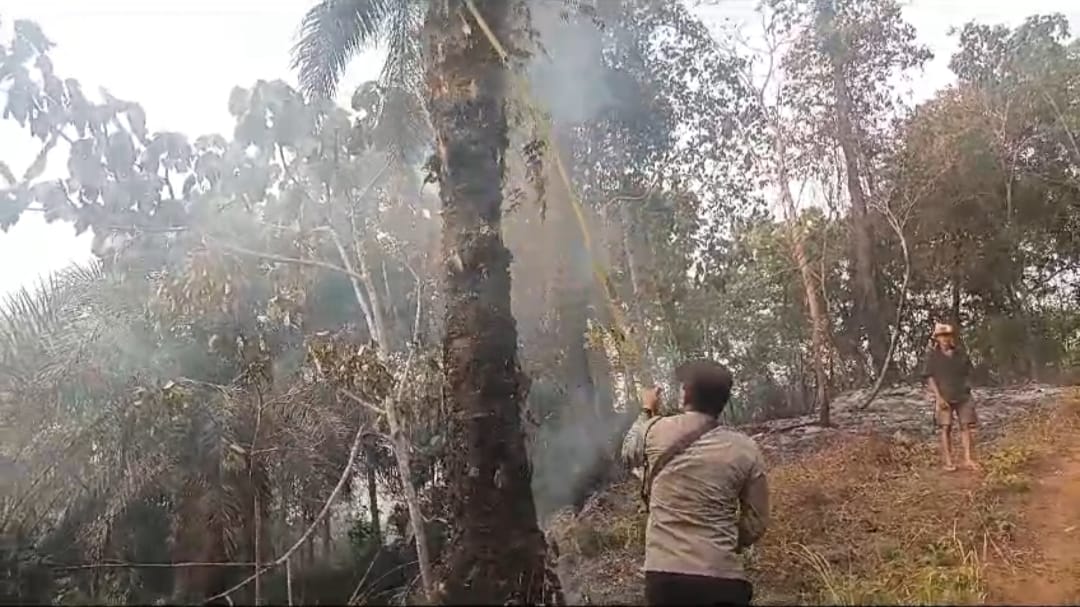 Kebakaran Lahan di Giri Mulya Menambah Catatan Karhutla di Bengkulu Utara, Kapolsek : 1 Ha Kebun Sawit Ludes
