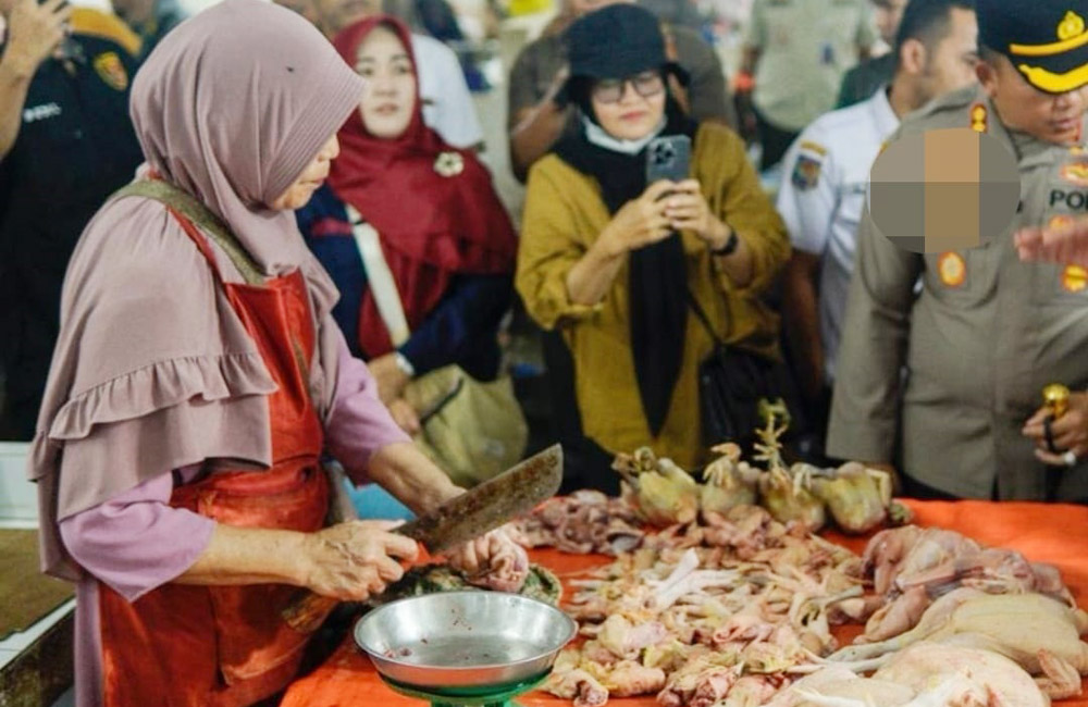 Harga Daging Ayam Bikin Ibu Rumah Tangga Resah, Diduga Ini Penyebabnya