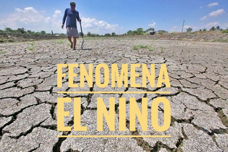Waspada Puncak El Nino, 32 Provinsi Bakal Alami Kemarau Panjang, Hanya Dua Daerah Ini yang Aman