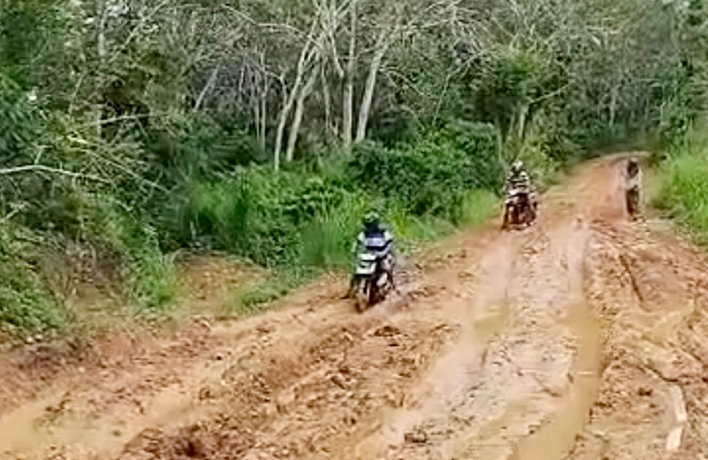 Menanti Anggaran DBH 2026, Desak Pembangunan Jalan Trans Lapindo-Kinal Jaya Dipercepat