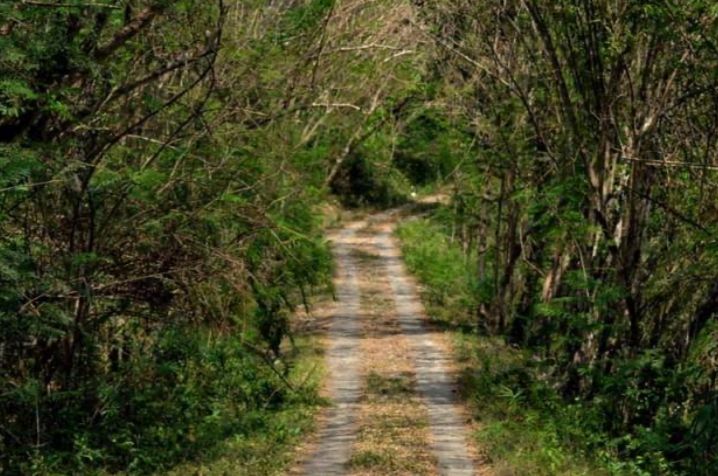 Ini 10 Tempat Angker di Gunung Kidul, Ada Pasar Gaib di Tepi Pantai Hingga Harimau Jadi-jadian