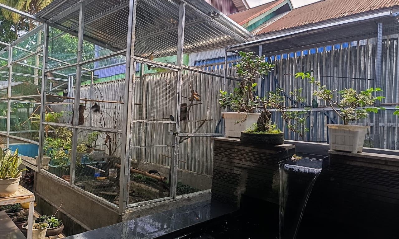 6 Hal yang Harus Diperhatikan Ketika Ingin Membuat Aviary Mini, Pemula Wajib Tahu