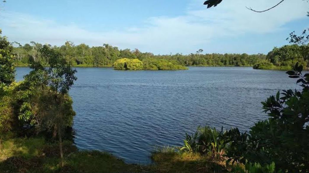 Ada Pulau di Tengah Danau! Wisata Danau Lebar Mukomuko Cocok Dikunjungi saat Liburan