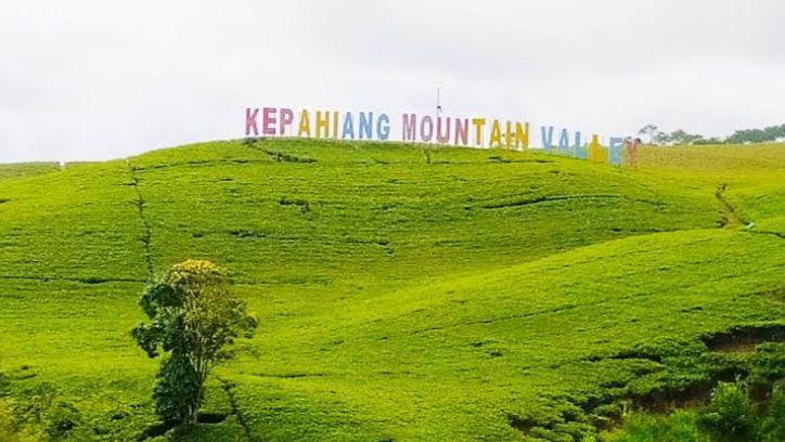 Dibalik Keindahannya, Ternyata Kebun Teh Kabawetan Merupakan Peninggalan dari Belanda