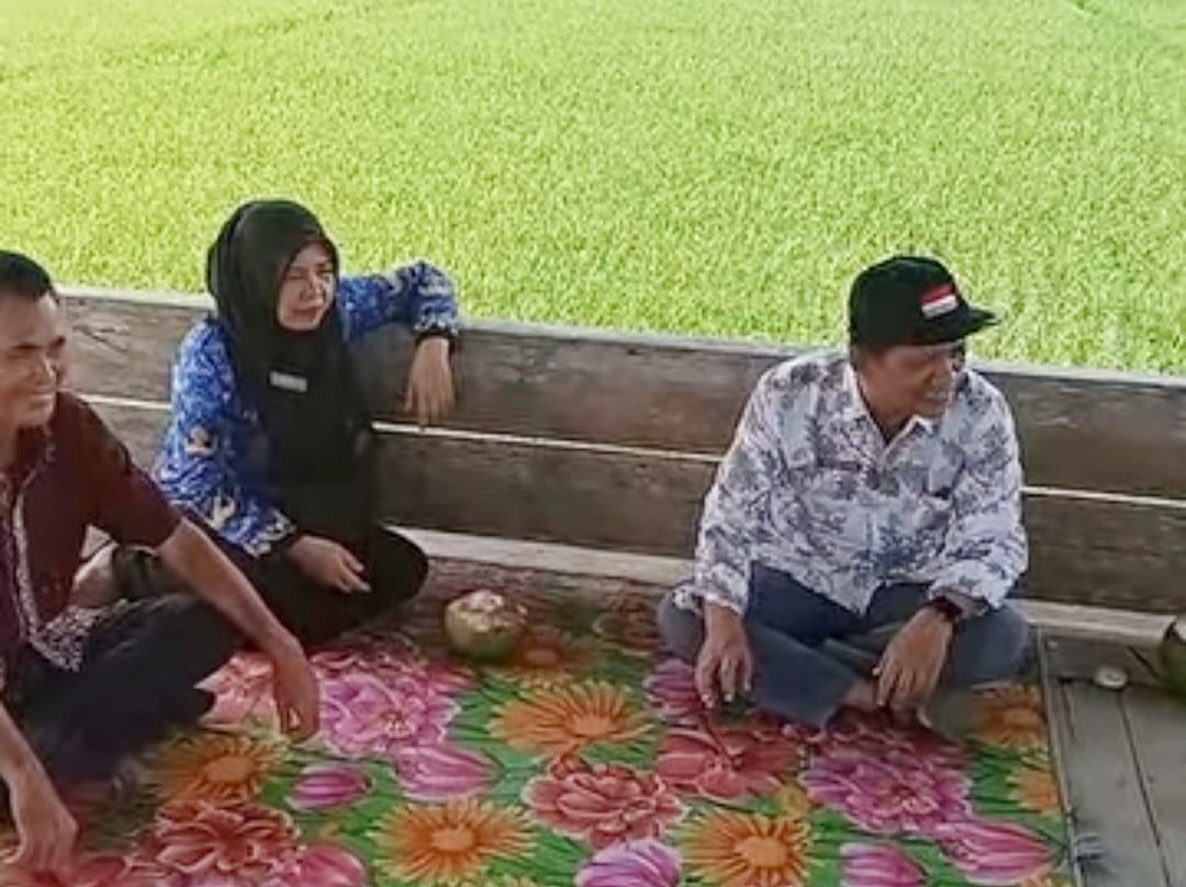 Stok Obat Hama Padi Dipastikan Aman, Petani Diminta Tenang