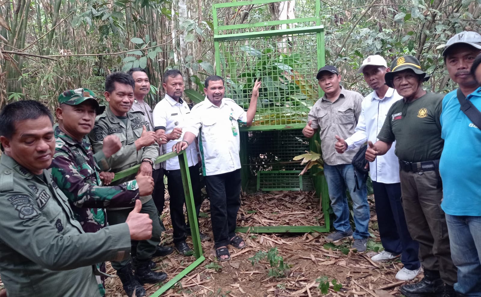 Meski Perangkap Harimau Sudah Dipasang, Kegiatan di Sekolah Masih Tetap Diliburkan, Ini Alasannya