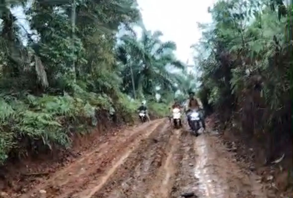 Jalan Desa Suka Mulya Butuh Sentuhan Pemerintah, Kades : Kurang dari 5 KM Jalan Masih Berlumpur