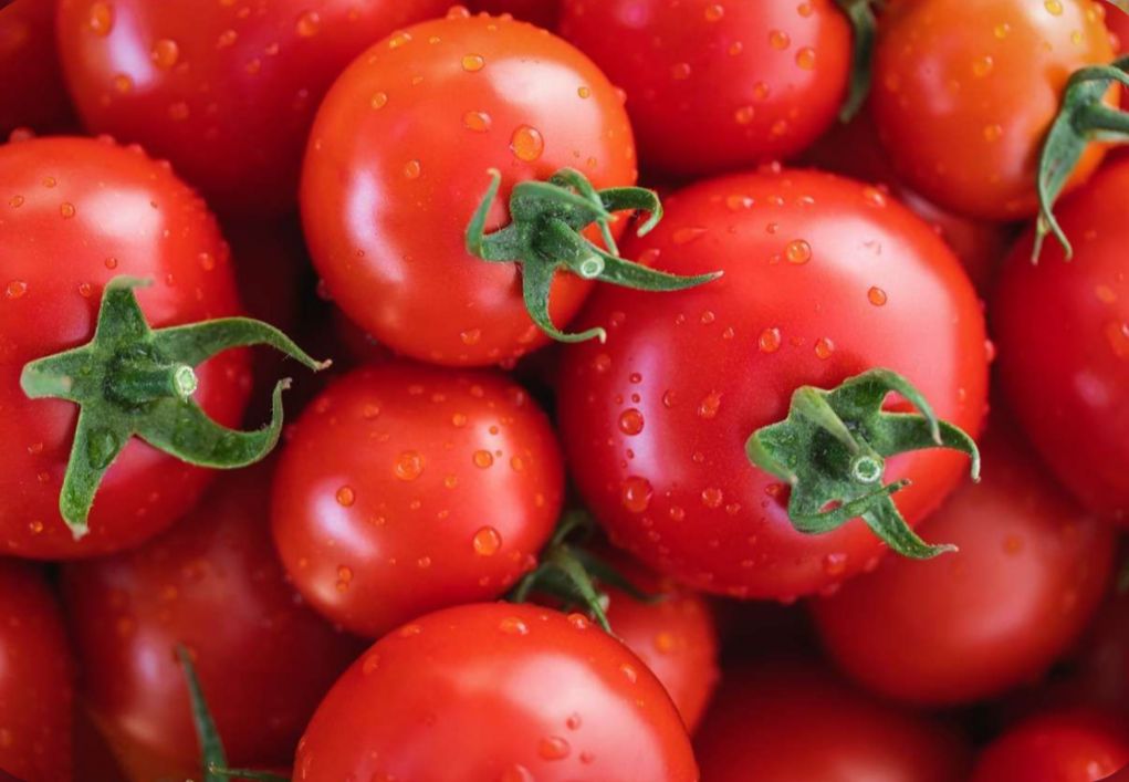 Selain Semangka, Ini Buah yang Mengandung Banyak Air