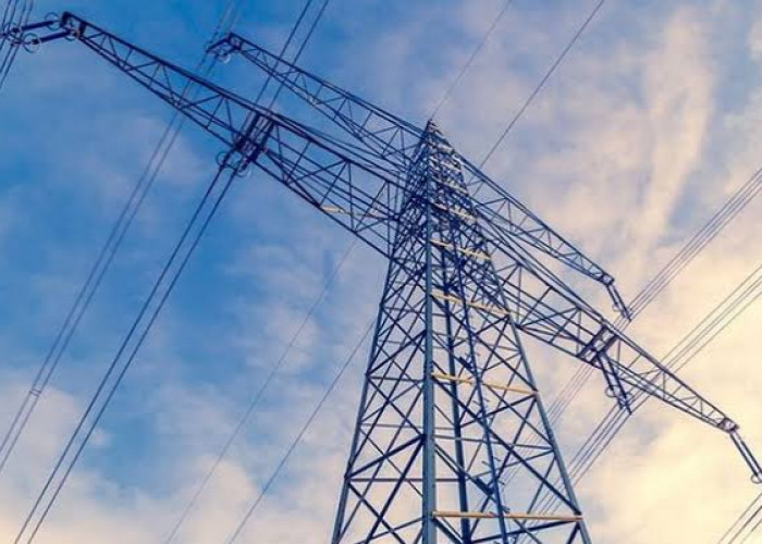 Warga Tanjung Kemenyan Menanti Keseriusan PLN Realisasikan Program Lisdes
