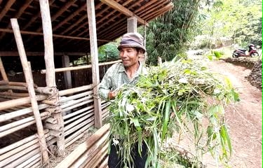 Setelah Kampung Janda Gunung Kidul Viral, Ada Kampung yang Hanya Dihuni 7 Keluarga