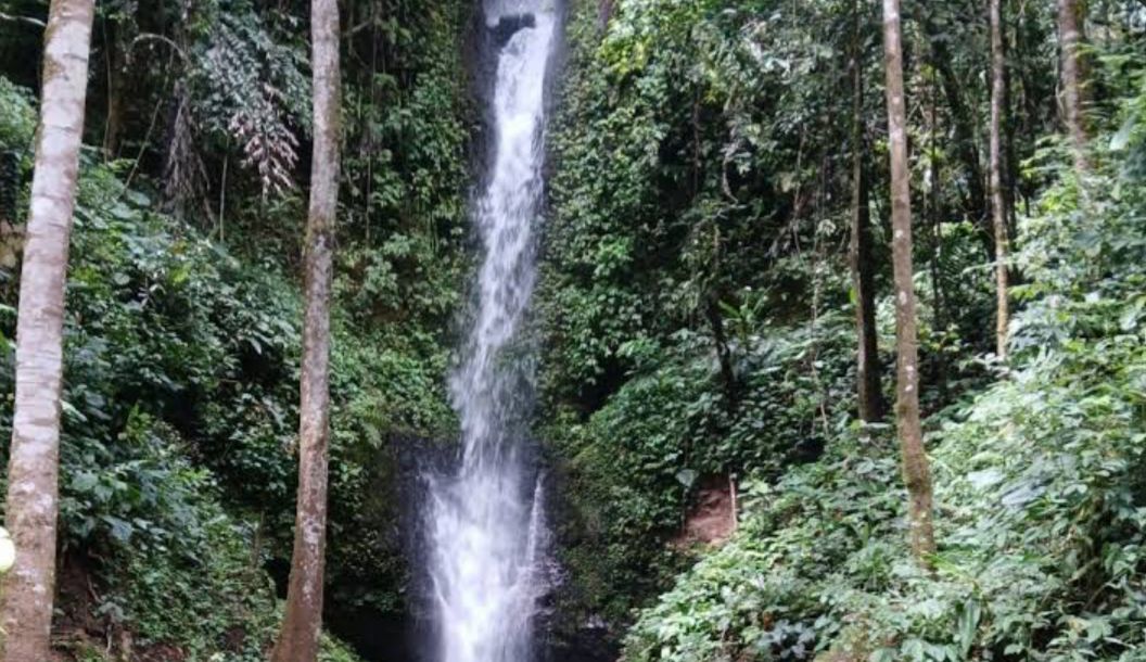 Ngaku Pecinta Alam? Ayo Kunjungi Curug Papat, Surga Tersembunyi di Rejang Lebong