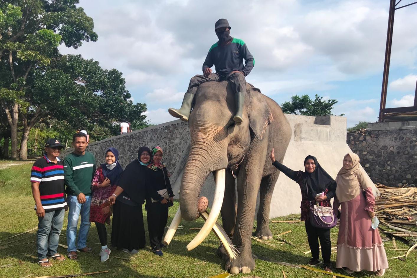 Selain Memiliki 12 Pantai Eksotis, Bengkulu Juga Memiliki Pusat Latihan Gajah Sumatera yang Wajib Dikunjungi