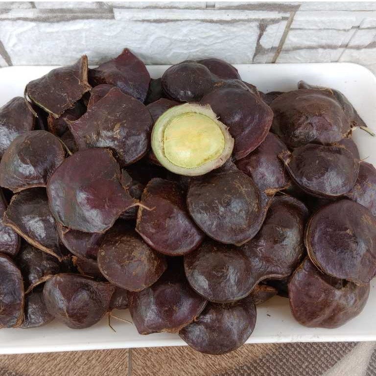 Tak Hanya Enak Dijadikan Lalapan, Ternyata Jengkol Muda Juga Kaya Akan Manfaat