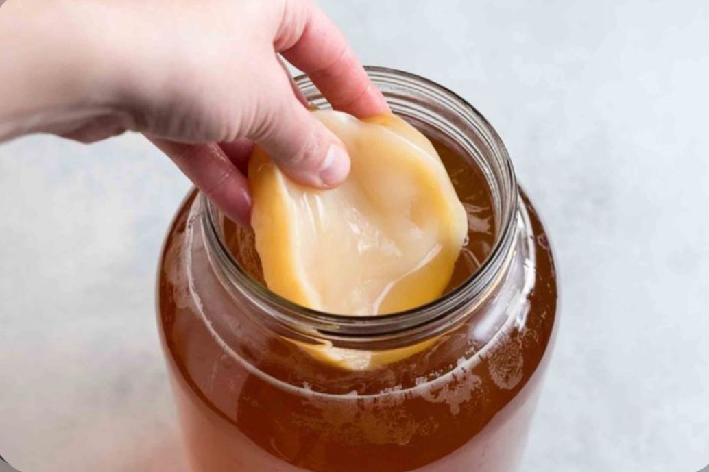 Awas Tertipu, Begini Cara Mengenali Kombucha Asli dan Palsu