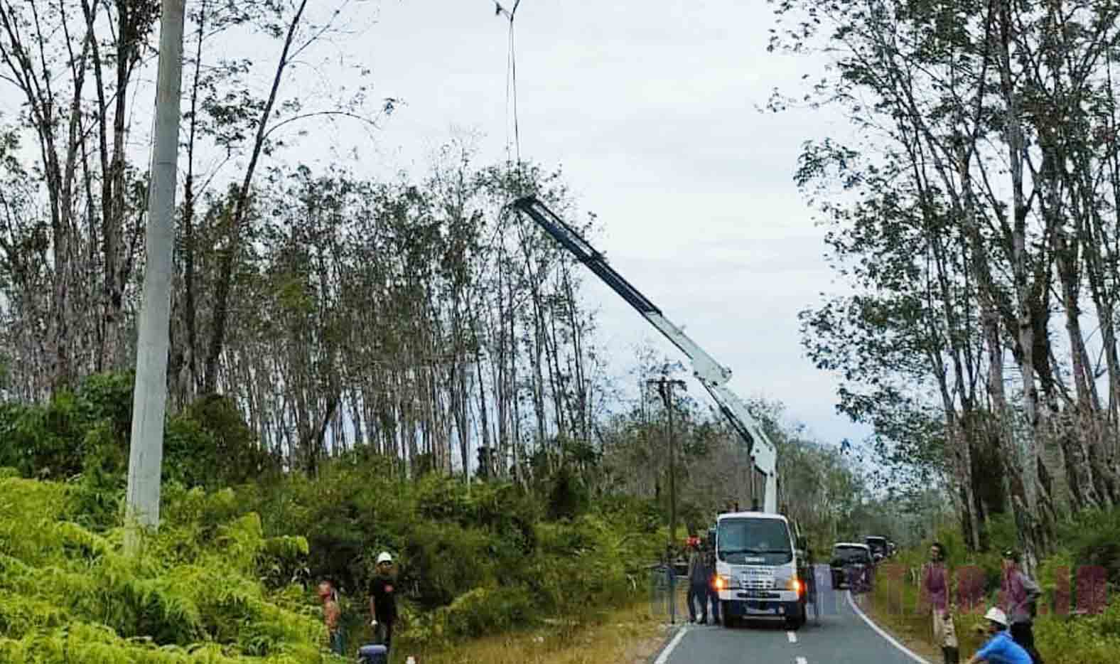 PLN Minta Kades Bantu Izin Tumbangkan Pohon Karet