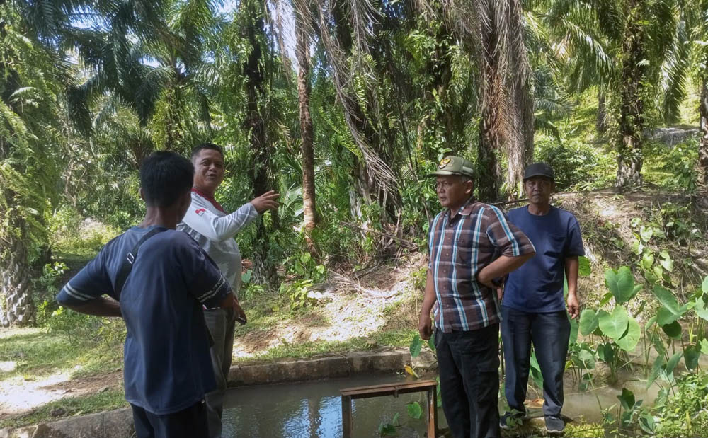 Irigasi Jebol Belum Tertangani, Petani Bertahan dengan Perbaikan Swadaya