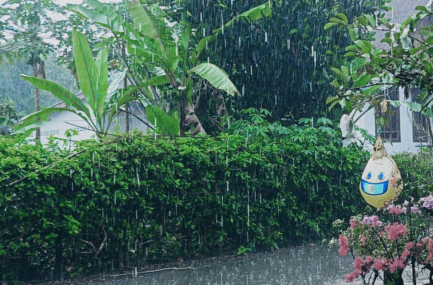 Puncak Hujan Diprediksi Terjadi di Januari-Februari, Masyarakat Diminta Waspadai Bencana Alam Akibat La Nina