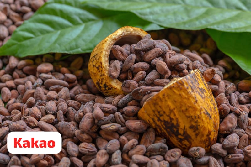 Menggiurkan! Harga Kakao Tembus Rp100 Ribu per kilogram