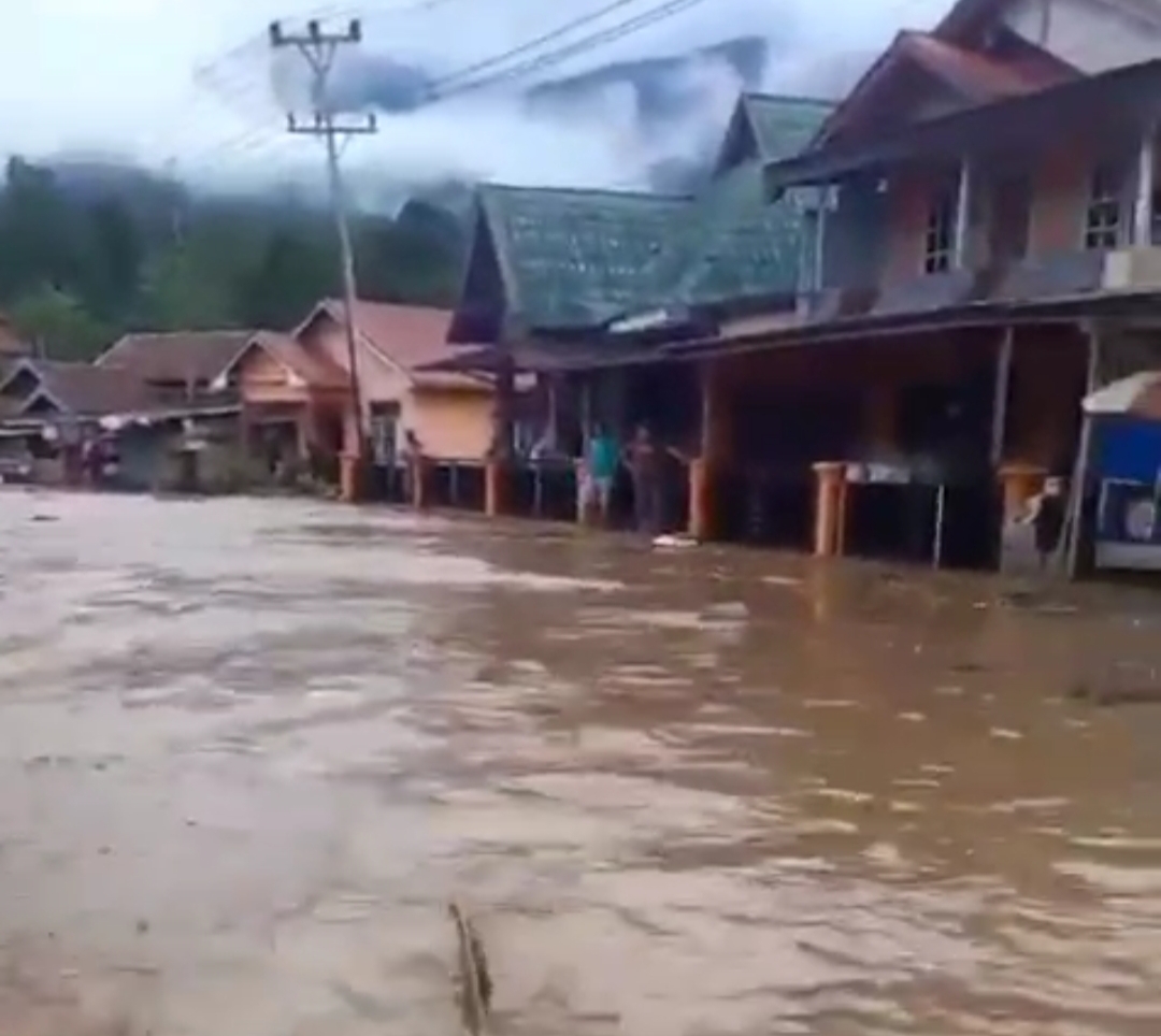 Banjir Lebong Terjang 6 Kecamatan, Ribuan Rumah Terdampak 