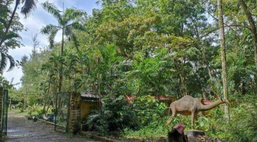 Berburu Jajanan di Taman Remaja Bengkulu, Cocok untuk Nyantai Sore Bawa Keluarga