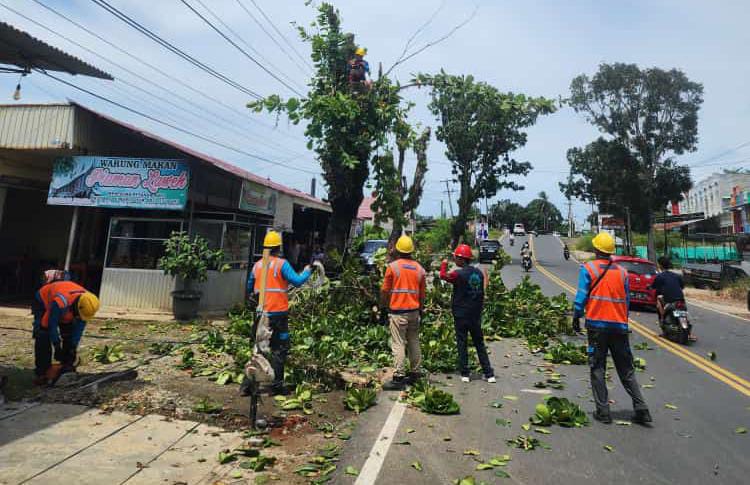 Hari ini 75 Desa di Bengkulu Utara Mati Lampu, Ternyata Ini Penyebabnya