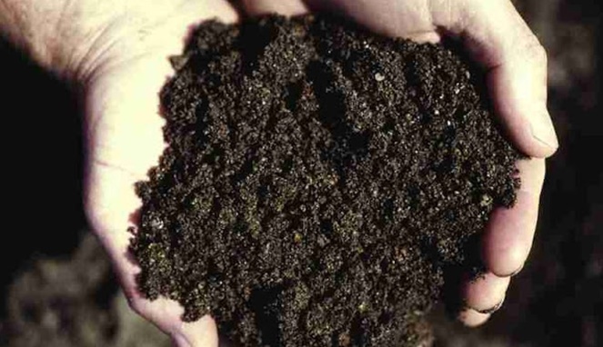 Waspada Ternyata Masih Banyak Jimat Sihir yang Sering Digunakan