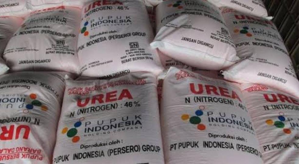 Kabar Gembira Subsidi Pupuk Rp54 T Sudah Cair, Ini Sasarannya