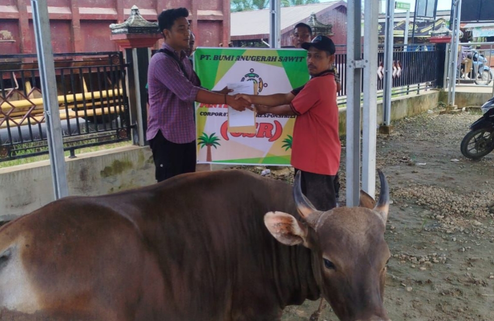 Pemdes Bukit Makmur dan Perusahaan Perkuat Kepedulian Lewat Penyaluran Hewan Kurban