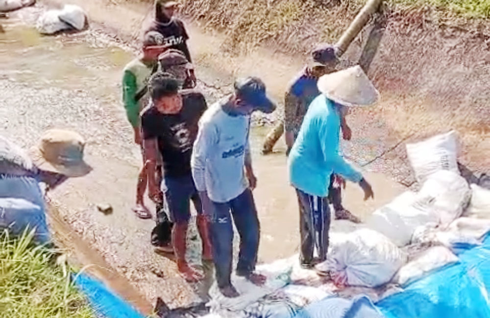 Saluran Induk BPS 7 Rawa Mulya Kembali Normal, Sawah Warga Terhindar dari Kekeringan