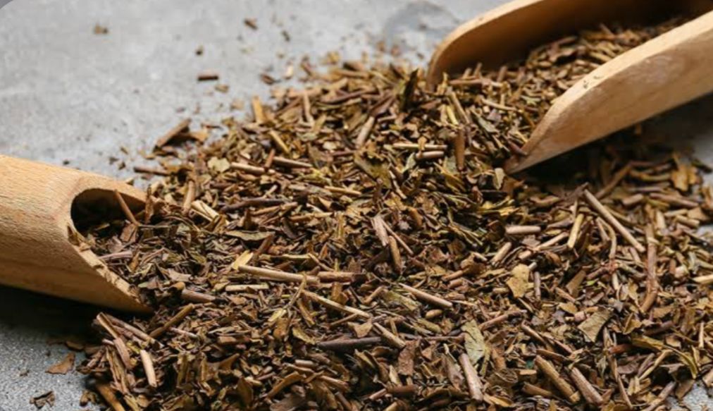 Mengenal Hojicha, Teh Asal Jepang yang Mulai Populer di Indonesia