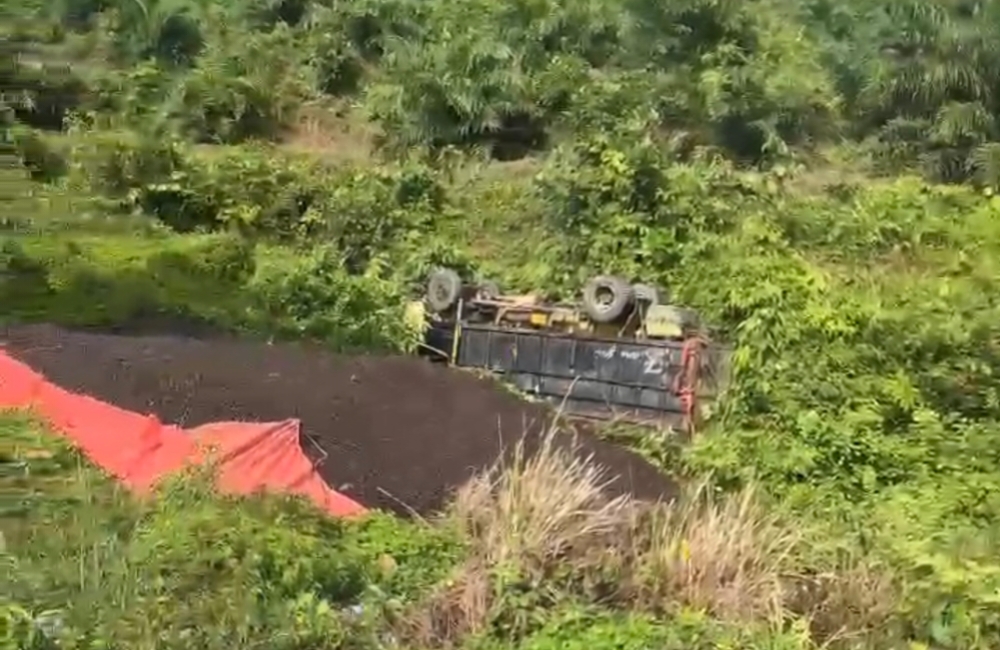 Truk Muatan Inti Kelapa Sawit Terguling di Tanjakan Mumbang, Sopir Selamat
