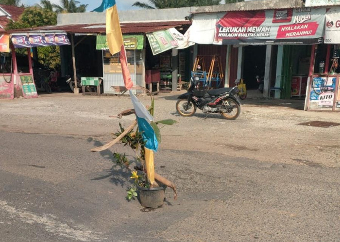 Kades Berharap Gorong-gorong yang Jebol di Jalinbar Kota Bani Tak Hanya Ditimbun