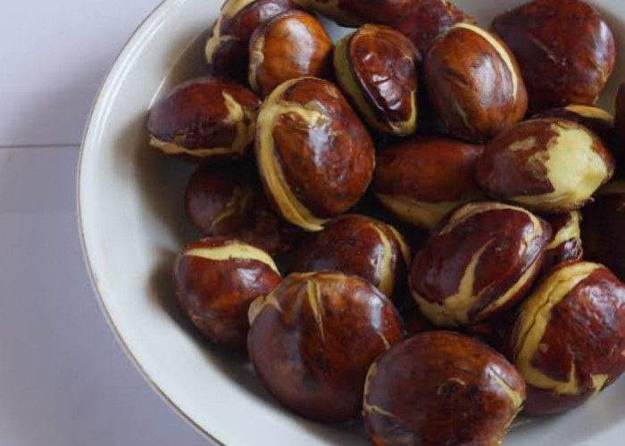 Katanya Konsumsi Jengkol dalam Jumlah Berlebihan Bisa Bikin Gagal Ginjal, Ini Faktanya