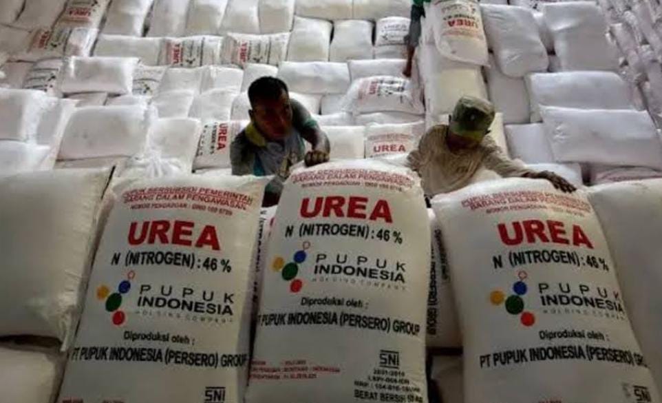 PT Pupuk Indonesia Siap Salurkan Pupuk Subsidi Kepada Petani, Ini Jumlah Alokasinya  