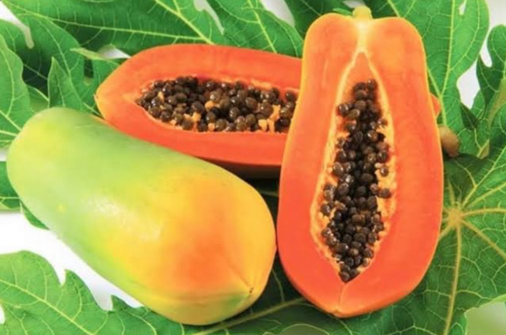 Rekomendasi Tanaman Buah yang Mudah Dirawat dan Cepat Panen untuk Kebun Pribadi