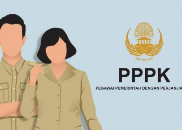 Para Honorer Diminta Cermat Isi DRH PPPK Paruh Waktu 2025, Ini Batas Akhir Baru dari BKN