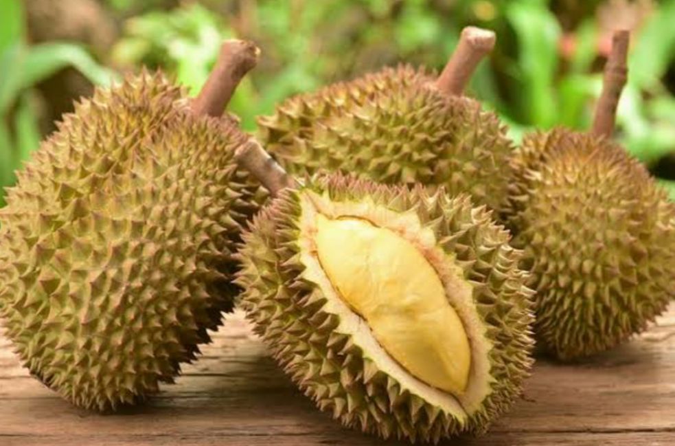 Bahaya! 6 Makanan Ini Pantang untuk Disantap Bersama Durian