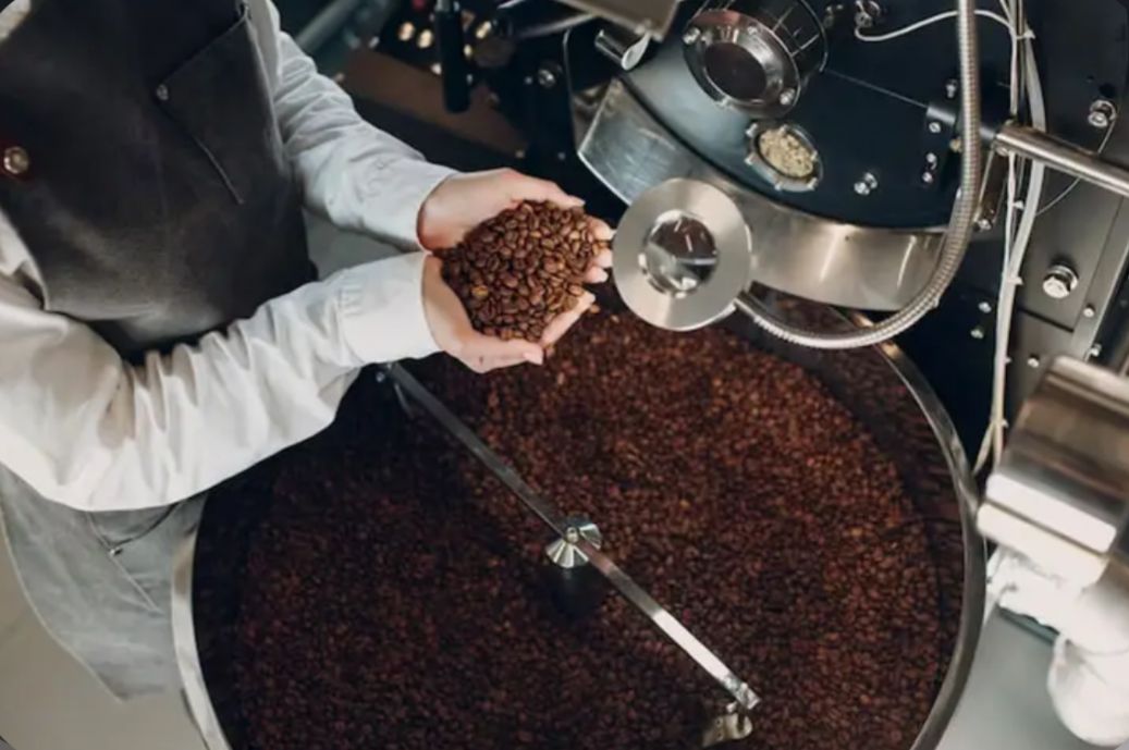 Selain Luak, Ini Deretan Kopi dari Kotoran Hewan