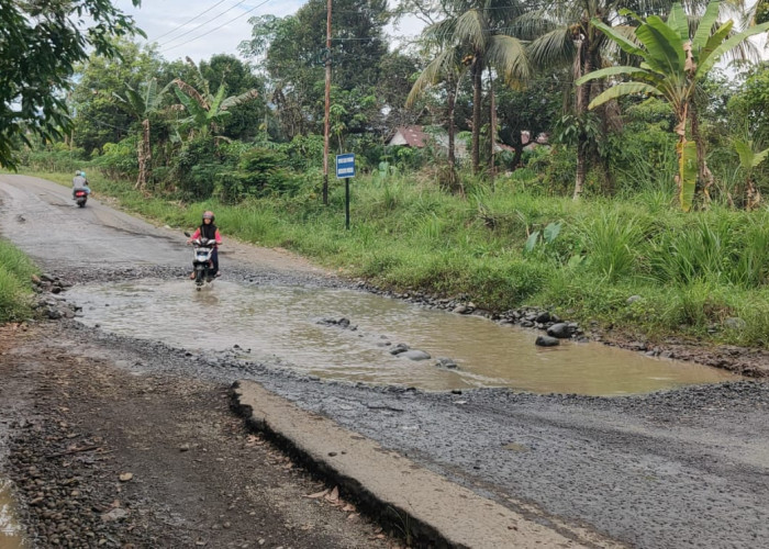 Pembangunan Tiga Link Jalan di Pinang Raya Dieksekusi Tahun Ini, Salah Satunya dari Dana Inpres