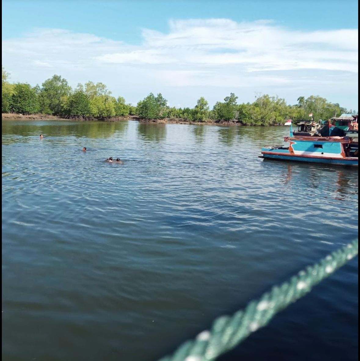 Selain Pantai, Wisata Hutan Mangrove Jadi Tempat Ideal untuk Melepas Penat di Bengkulu