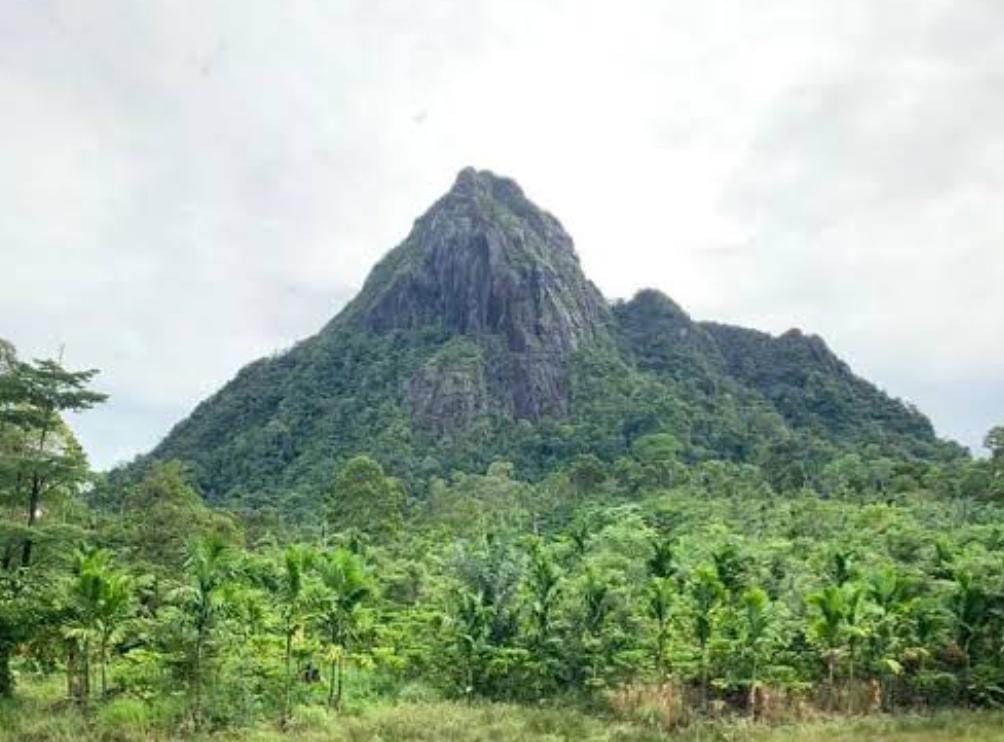 Mental Tempe Jangan Coba Uji Nyali ke Gunung Bungkuk di Bengkulu, Ini Sosok Mistis Penunggunya