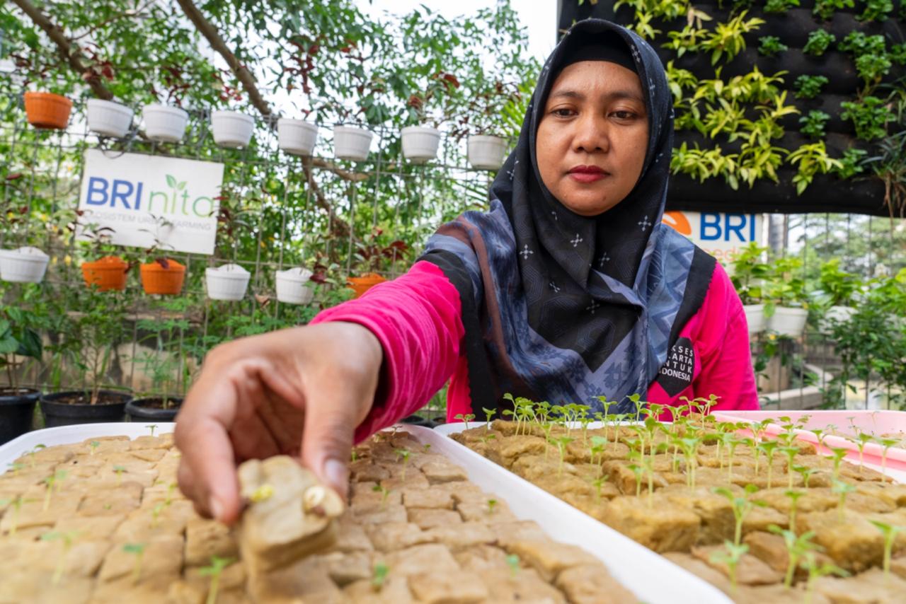 BRI Diakui atas Peran Nyata dalam Urban Farming dan Pemberdayaan  Perempuan