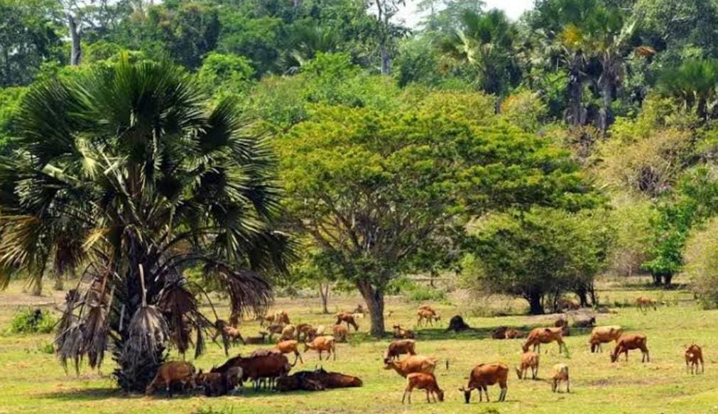 10 Tempat di Indonesia yang Dipercaya Jadi Sarangnya Demit, Apakah Ada dari Daerahmu?