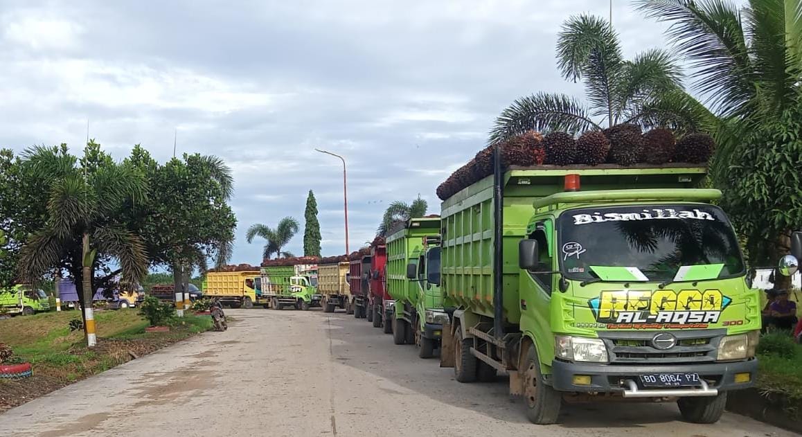 Alno Akan Tingkatkan Kapasitas Beberapa Titik Jembatan yang Dilalui Angkutan CPO