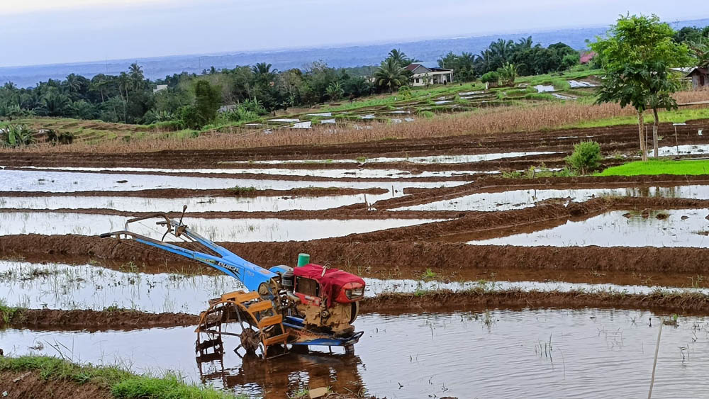 Peningkatan Sektor Pertanian, 8 Poktan Terima Dana Rp100Juta 