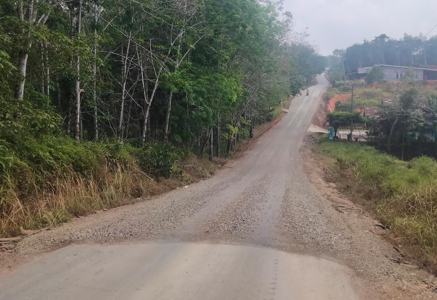 Jalan D1-D2 Diperbaiki, Jalan Tugu Gajah-Karya Jaya Masih Rusak, Begini Pesan Masyarakat untuk Bupati